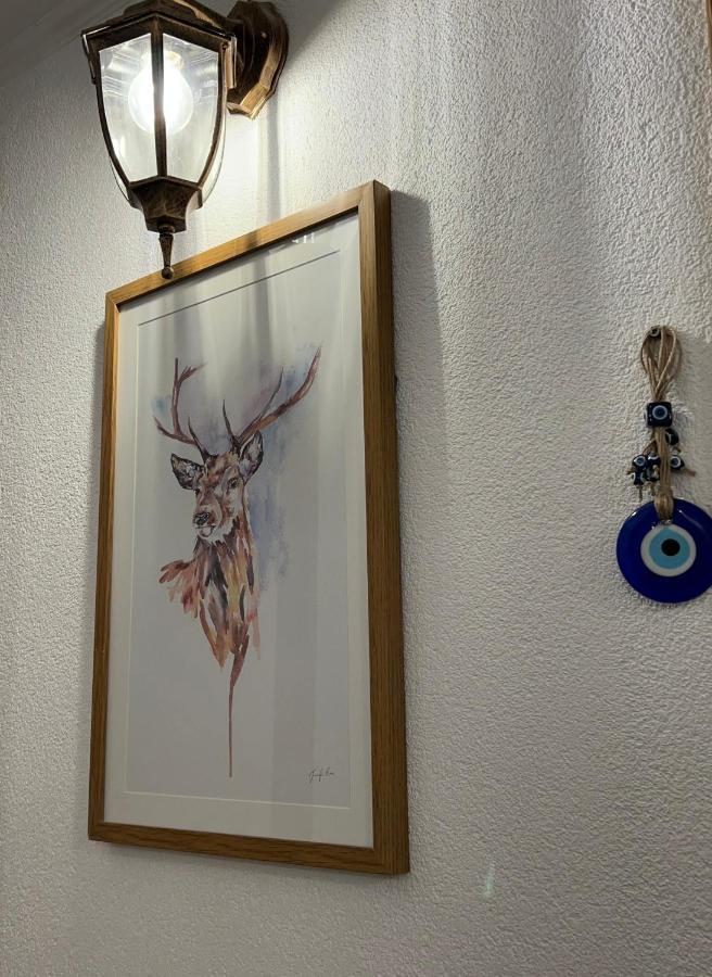 Guest House Tanevi 데빈 외부 사진